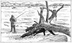 Owens Beach. (ILLUSTRATION BY ARVID HARDER)