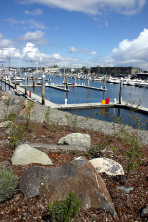 Tacoma's Foss Waterway. (PHOTO BY TODD MATTHEWS)