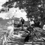 The group tackled the bushes near the Spanish Steps. (PHOTO BY TODD MATTHEWS)