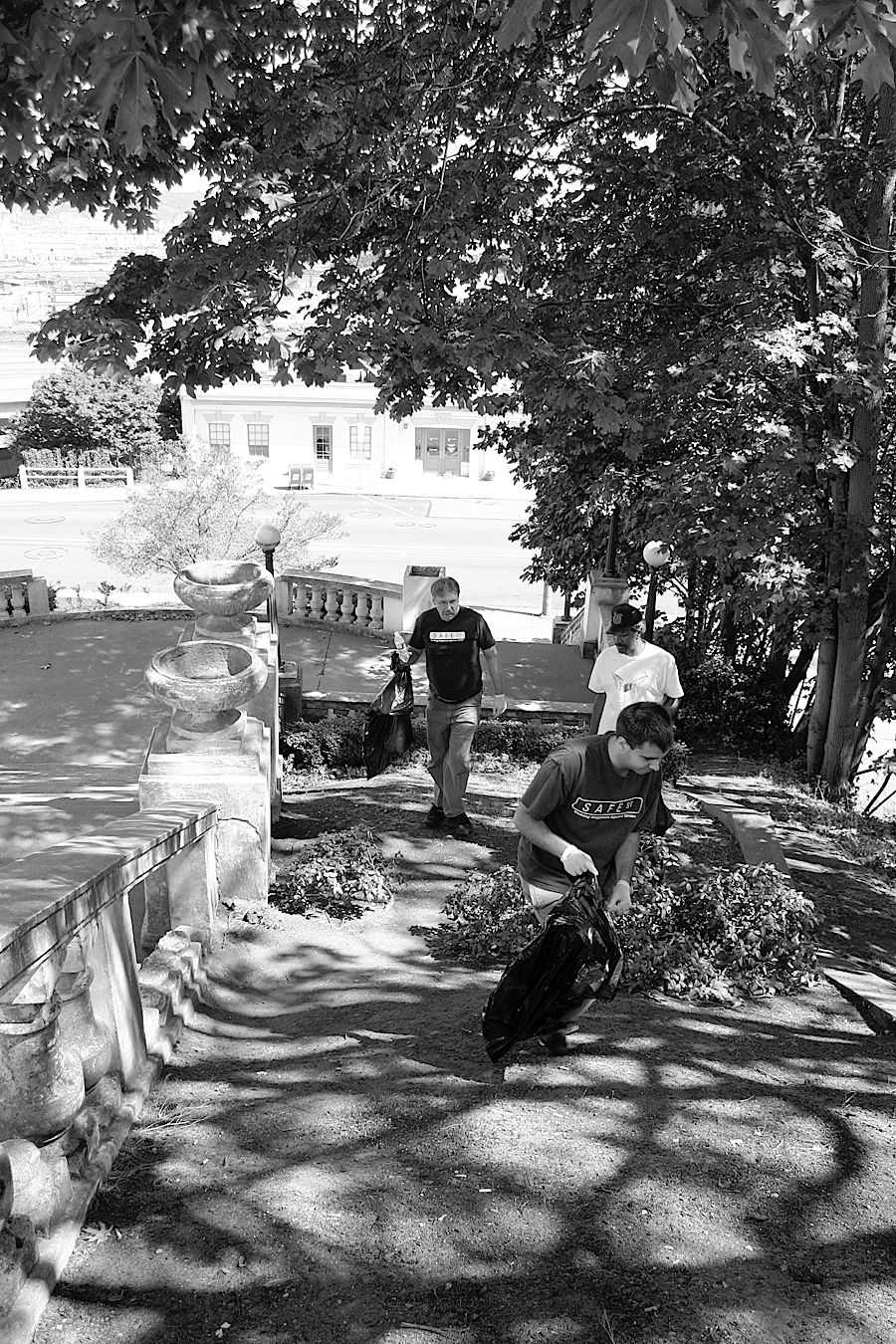 The group tackled the bushes near the Spanish Steps. (PHOTO BY TODD MATTHEWS)