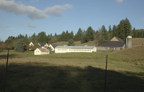 The Washington Trust for Historic Preservation has announced it will host a free workshop on Weds., Sept. 9 from 4:00 to 5:30 pm in the Allmendinger Center at the Washington State University Research & Extension Center in Puyallup for barn owners wishing to learn more about the Heritage Barn Preservation Initiative. (PHOTO COURTESY WASHINGTON TRUST FOR HISTORIC PRESERVATION)