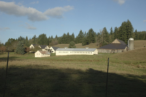 The Washington Trust for Historic Preservation has announced it will host a free workshop on Weds., Sept. 9 from 4:00 to 5:30 pm in the Allmendinger Center at the Washington State University Research & Extension Center in Puyallup for barn owners wishing to learn more about the Heritage Barn Preservation Initiative. (PHOTO COURTESY WASHINGTON TRUST FOR HISTORIC PRESERVATION)