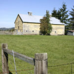 Johnson and Chase have been all over Pierce County to visit historic sites. One of many old barns that line a valley near Orting. (PHOTO BY TODD MATTHEWS)