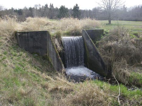 Pierce County teams with McChord AFB on fish passage | Tacoma Daily Index