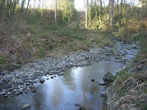 (PHOTOS COURTESY DAN FEAR / FIRST CREEK WATERSHED VOLUNTEERS)