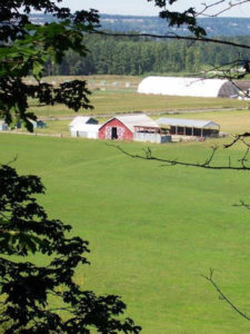 Officials representing Pierce County, PCC Farmland Trust and the State of Washington gathered May 21 on the site of a former dairy farm to celebrate the completion of what's known as the Orting Valley Farms project.  The partners arranged to buy the development rights to the 100-acre property, reducing its value so that other local farmers could afford to buy it. Under the agreement, the land must be operated as organic farms in perpetuity. (PHOTO COURTESY PIERCE COUNTY)