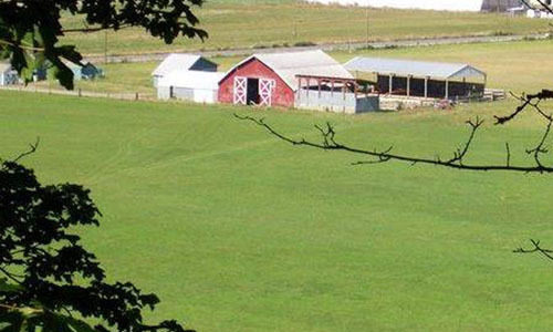 Officials representing Pierce County, PCC Farmland Trust and the State of Washington gathered May 21 on the site of a former dairy farm to celebrate the completion of what's known as the Orting Valley Farms project.  The partners arranged to buy the development rights to the 100-acre property, reducing its value so that other local farmers could afford to buy it. Under the agreement, the land must be operated as organic farms in perpetuity. (PHOTO COURTESY PIERCE COUNTY)