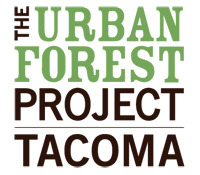 Tacoma's Urban Forest Project deadline extended