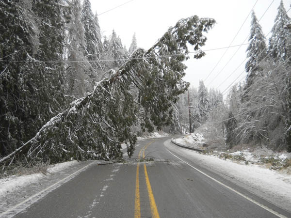 (COURTESY WSDOT)