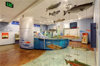 Tacoma Power's Cowlitz Salmon Hatchery Visitor Center. (PHOTO COURTESY TACOMA POWER)