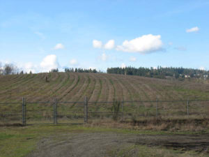 The former B&L Woodwaste site in Pierce County. (PHOTO COURTESY WASHINGTON STATE DEPARTMENT OF ECOLOGY)