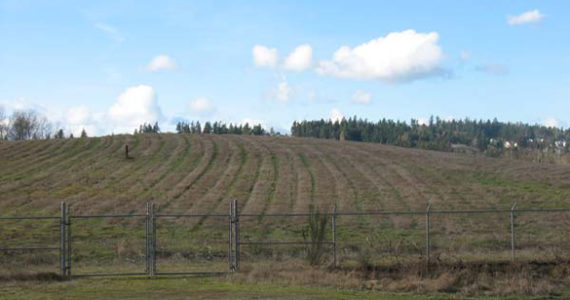 The former B&L Woodwaste site in Pierce County. (PHOTO COURTESY WASHINGTON STATE DEPARTMENT OF ECOLOGY)