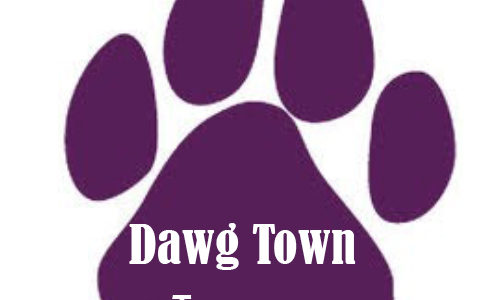 Dawg Town Tacoma Daycare & Spa