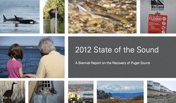 Report mixed on health of Puget Sound