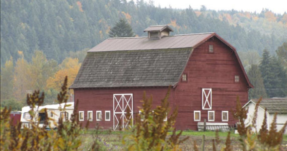 The Scholz Farm in Orting dates back to 1931. It is one of 52 heritage barns in Pierce County that was nominated to Washington state's register of heritage barns. (IMAGE COURTESY WASHINGTON STATE DEPARTMENT OF ARCHAEOLOGY AND HISTORIC PRESERVATION)