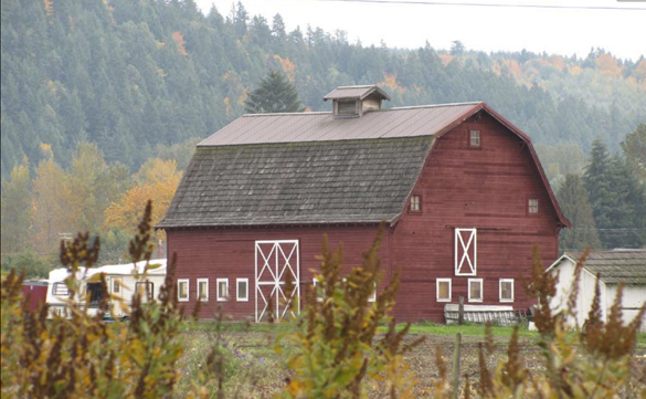 The Scholz Farm in Orting dates back to 1931. It is one of 52 heritage barns in Pierce County that was nominated to Washington state's register of heritage barns. (IMAGE COURTESY WASHINGTON STATE DEPARTMENT OF ARCHAEOLOGY AND HISTORIC PRESERVATION)