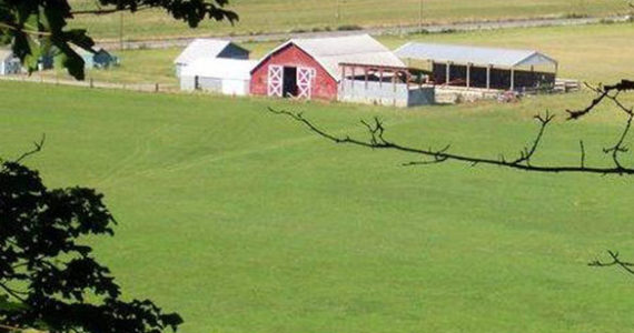 In 2010, a partnership between Pierce County, PCC Farmland Trust, and Washington State helped preserve the Orting Valley Farms project. (PHOTO COURTESY PCC FARMLAND TRUST / PIERCE COUNTY)