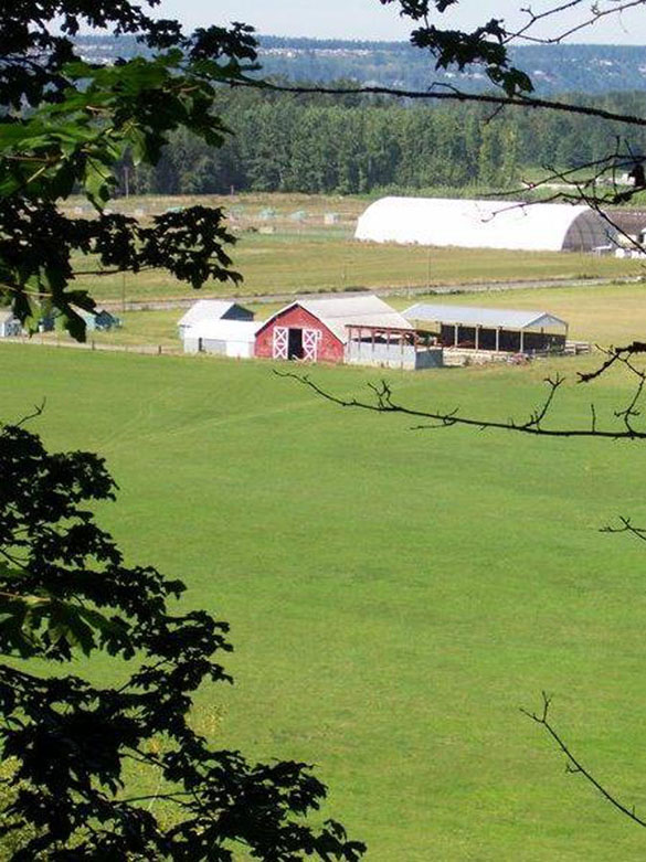 In 2010, a partnership between Pierce County, PCC Farmland Trust, and Washington State helped preserve the Orting Valley Farms project. (PHOTO COURTESY PCC FARMLAND TRUST / PIERCE COUNTY)
