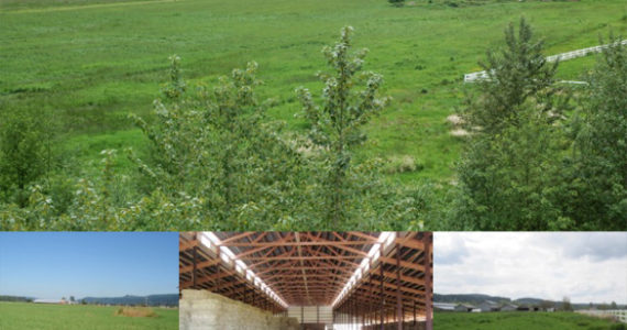 The 95-acre Sturgeon Farm located in Orting and the Puyallup River Valley. (PHOTOS COURTESY PCC FARMLAND TRUST)