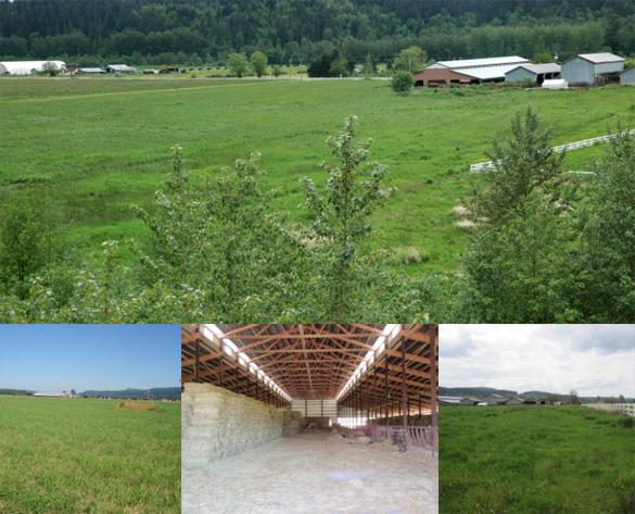 The 95-acre Sturgeon Farm located in Orting and the Puyallup River Valley. (PHOTOS COURTESY PCC FARMLAND TRUST)