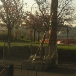 City engineers have raised safety concerns over the structural integrity of an historic totem pole in downtown Tacoma's Fireman's Park. As a result, Tacoma's public works director ordered the totem pole be stabilized immediately and the surrounding park area to be fenced off. (PHOTO BY TODD MATTHEWS)