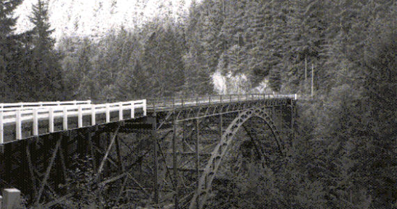 The Carbon River Bridge in Pierce County. (PHOTO COURTESY WSDOT)