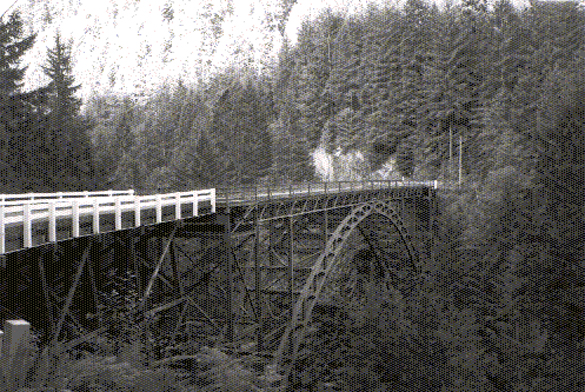 The Carbon River Bridge in Pierce County. (PHOTO COURTESY WSDOT)