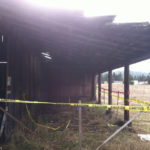 A historic, circa-1910 barn located on the 98-acre Morse Wildlife Preserve in Pierce County is the focus of an online fund-raising campaign led by Forterra, a local land conservation organization. The barn, which was closed two years ago due to safety concerns, has served as shelter from the weather for visiting school children, a location for storytelling and educational displays, and storage for tools and materials used by volunteers for restoration projects. The barn is listed on the Washington State Heritage Barn Register and the Pierce County Historic Landmarks Register. (PHOTO COURTESY FORTERRA)