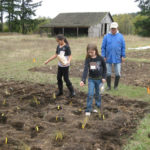 A historic, circa-1910 barn located on the 98-acre Morse Wildlife Preserve in Pierce County is the focus of an online fund-raising campaign led by Forterra, a local land conservation organization. The barn, which was closed two years ago due to safety concerns, has served as shelter from the weather for visiting school children, a location for storytelling and educational displays, and storage for tools and materials used by volunteers for restoration projects. The barn is listed on the Washington State Heritage Barn Register and the Pierce County Historic Landmarks Register. (PHOTO COURTESY FORTERRA)