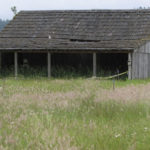 A historic, circa-1910 barn located on the 98-acre Morse Wildlife Preserve in Pierce County is the focus of an online fund-raising campaign led by Forterra, a local land conservation organization. The barn, which was closed two years ago due to safety concerns, has served as shelter from the weather for visiting school children, a location for storytelling and educational displays, and storage for tools and materials used by volunteers for restoration projects. The barn is listed on the Washington State Heritage Barn Register and the Pierce County Historic Landmarks Register. (PHOTO COURTESY FORTERRA)