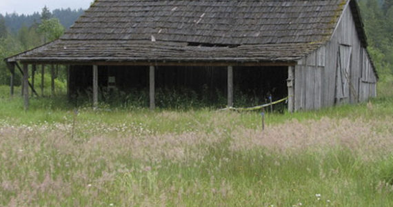 A historic, circa-1910 barn located on the 98-acre Morse Wildlife Preserve in Pierce County is the focus of an online fund-raising campaign led by Forterra, a local land conservation organization. The barn, which was closed two years ago due to safety concerns, has served as shelter from the weather for visiting school children, a location for storytelling and educational displays, and storage for tools and materials used by volunteers for restoration projects. The barn is listed on the Washington State Heritage Barn Register and the Pierce County Historic Landmarks Register. (PHOTO COURTESY FORTERRA)