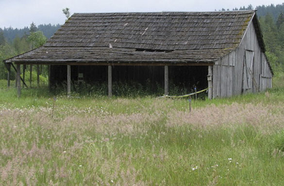 A historic, circa-1910 barn located on the 98-acre Morse Wildlife Preserve in Pierce County is the focus of an online fund-raising campaign led by Forterra, a local land conservation organization. The barn, which was closed two years ago due to safety concerns, has served as shelter from the weather for visiting school children, a location for storytelling and educational displays, and storage for tools and materials used by volunteers for restoration projects. The barn is listed on the Washington State Heritage Barn Register and the Pierce County Historic Landmarks Register. (PHOTO COURTESY FORTERRA)