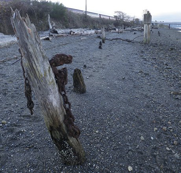 Pierce County to remove 200 derelict pier pilings from Chambers Creek beach