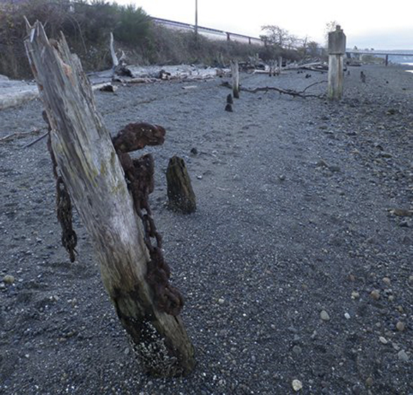 Pierce County to remove 200 derelict pier pilings from Chambers Creek beach