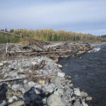 Puyallup River Log jam near Neadham Road. (PHOTO COURTESY PIERCE COUNTY)