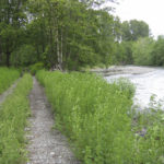 South Fork Road adjacent to the Puyallup River. (PHOTO COURTESY PIERCE COUNTY)