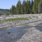 Puyallup River at South Fork Road. (PHOTO COURTESY PIERCE COUNTY)