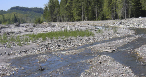 Puyallup River at South Fork Road. (PHOTO COURTESY PIERCE COUNTY)