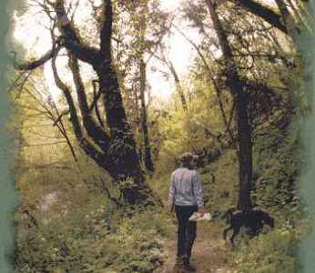 Tacoma's Swan Creek Park focus of urban forestry restoration project