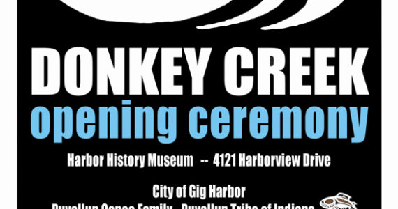Grand Opening ceremony ahead for Gig Harbor Donkey Creek restoration project