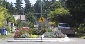 Program could showcase Tacoma's landscaped traffic circles