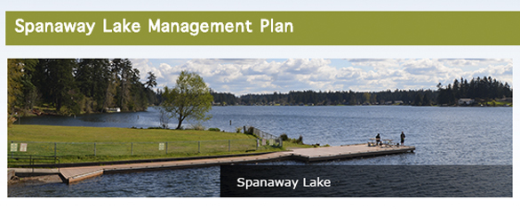 Pierce County plans to study Spanaway Lake