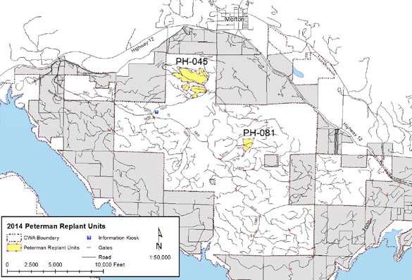 Project would plant 65K trees near Tacoma Power Cowlitz River site