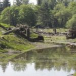 Pierce County to resume Puyallup River flood mitigation project