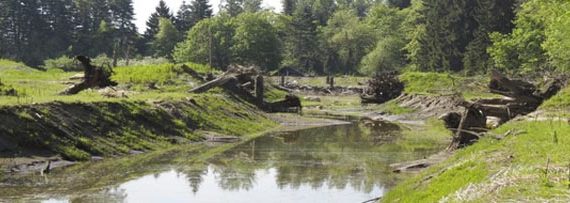 Pierce County to resume Puyallup River flood mitigation project