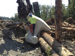 Pierce County Public Works and Utilities recently designed and built 700 feet of riverbank protection and six engineered log jams on the Puyallup River next to Orville Road between Electron Road and 249th Street East. The project, which was completed last fall, allows the river to meander in the channel but protects the road from the river during high water events. The engineered log jams were built with large logs and eight-ton concrete structures that resemble children's jacks. The jacks, called dolos, keep the logs in place which will then catch additional trees and vegetation flowing down the river. (PHOTO COURTESY PIERCE COUNTY)