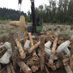 Pierce County Public Works and Utilities recently designed and built 700 feet of riverbank protection and six engineered log jams on the Puyallup River next to Orville Road between Electron Road and 249th Street East. The project, which was completed last fall, allows the river to meander in the channel but protects the road from the river during high water events. The engineered log jams were built with large logs and eight-ton concrete structures that resemble children's jacks. The jacks, called dolos, keep the logs in place which will then catch additional trees and vegetation flowing down the river. (PHOTO COURTESY PIERCE COUNTY)