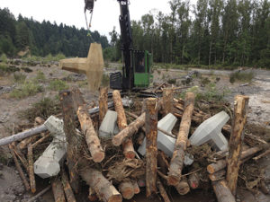 Pierce County Public Works and Utilities recently designed and built 700 feet of riverbank protection and six engineered log jams on the Puyallup River next to Orville Road between Electron Road and 249th Street East. The project, which was completed last fall, allows the river to meander in the channel but protects the road from the river during high water events. The engineered log jams were built with large logs and eight-ton concrete structures that resemble children's jacks. The jacks, called dolos, keep the logs in place which will then catch additional trees and vegetation flowing down the river. (PHOTO COURTESY PIERCE COUNTY)