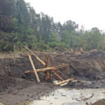 Crews built engineered log jams last summer as part of a project that will reconnect the Puyallup River to its historic floodplain near Orting. (PHOTO COURTESY PIERCE COUNTY)