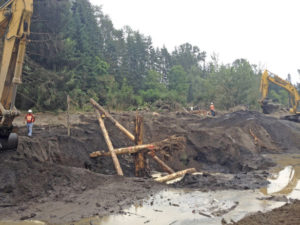 Crews built engineered log jams last summer as part of a project that will reconnect the Puyallup River to its historic floodplain near Orting. (PHOTO COURTESY PIERCE COUNTY)